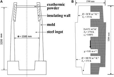 Multiphase Model for the Prediction of Shrinkage Cavity, Inclusion and Macrosegregation in a 36-Ton Steel Ingot